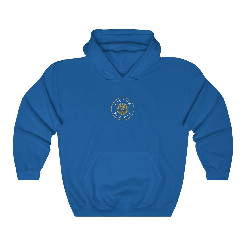 Dragon Protecting Treasure Unisex Heavy Blend™ Hooded Sweatshirt