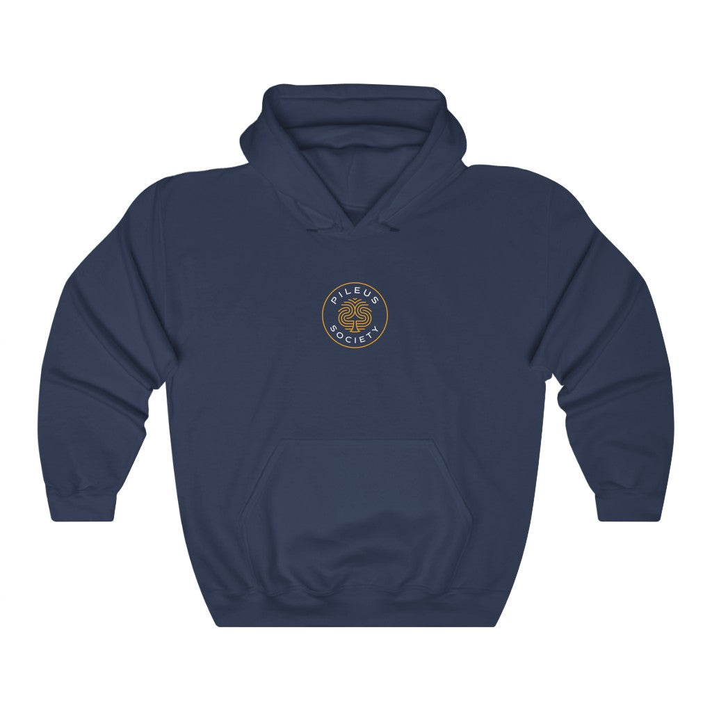 Dragon Protecting Treasure Unisex Heavy Blend™ Hooded Sweatshirt
