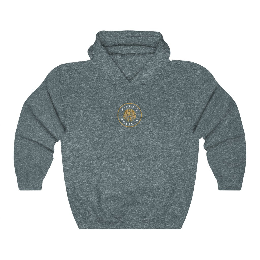 Dragon Protecting Treasure Unisex Heavy Blend™ Hooded Sweatshirt