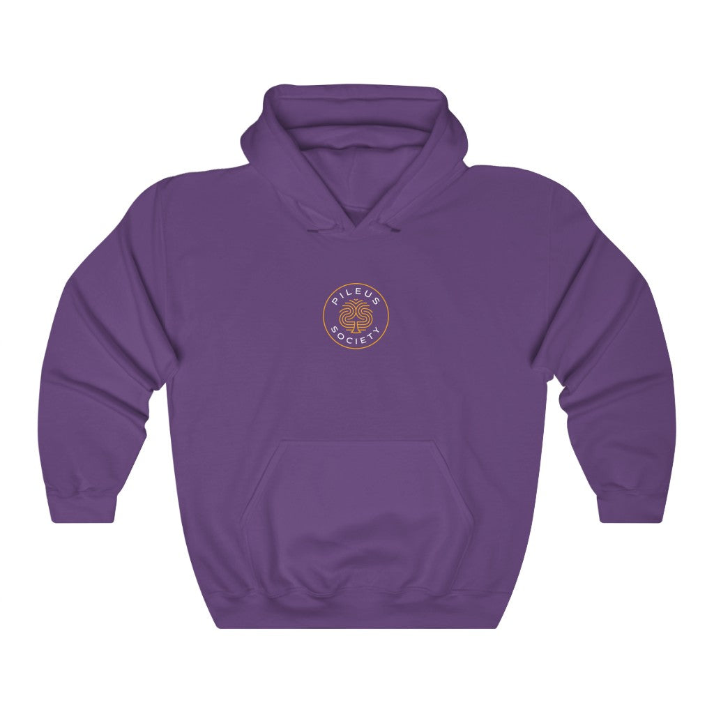 Dragon Protecting Treasure Unisex Heavy Blend™ Hooded Sweatshirt