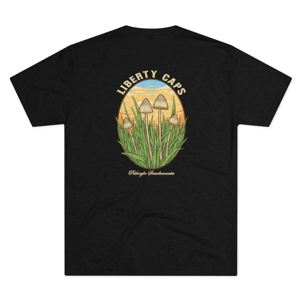 Liberty Caps Men's Tri-Blend Crew Tee