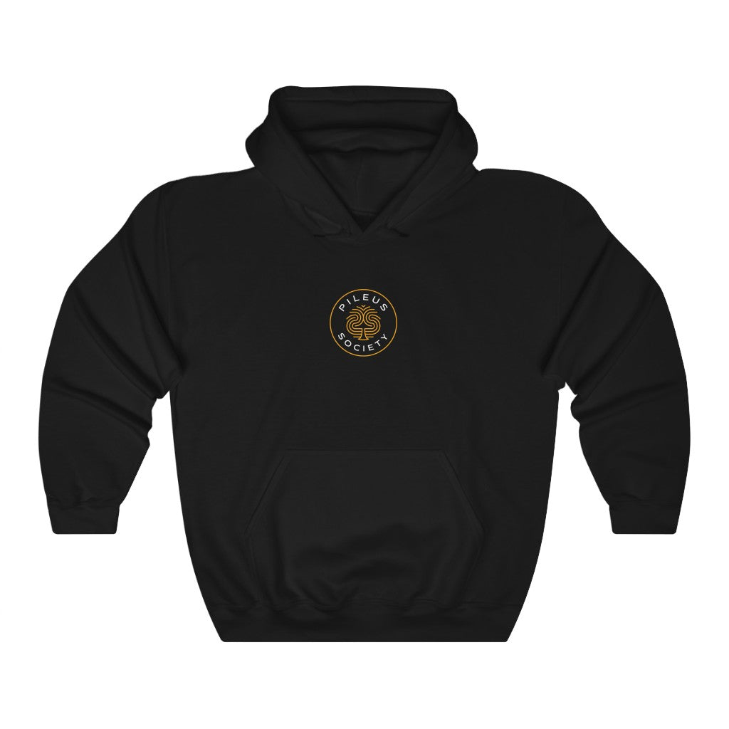 Dragon Protecting Treasure Unisex Heavy Blend™ Hooded Sweatshirt