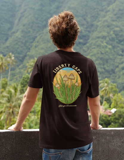 Liberty Caps Men's Tri-Blend Crew Tee